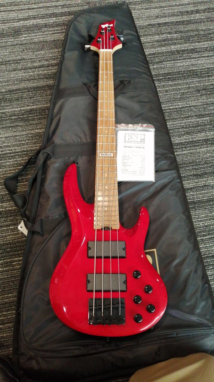 イーエスピー(ESP)|エレキギター|HARDOFFオフモール（オフモ