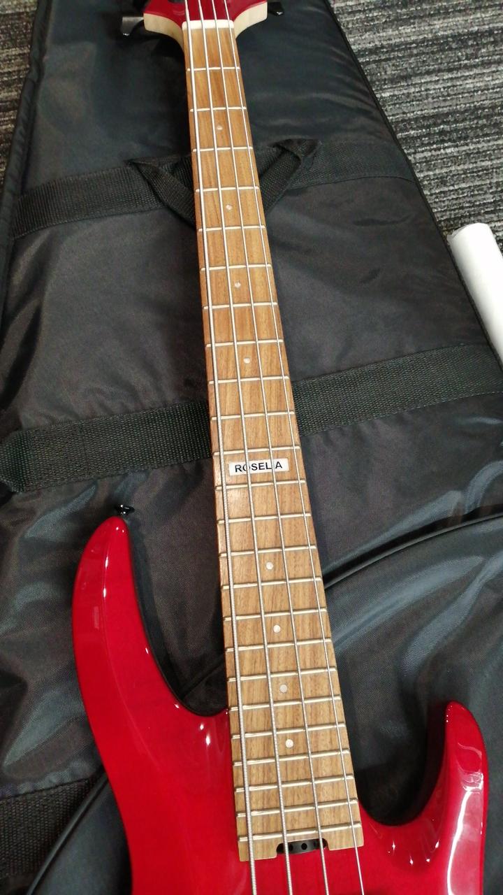 イーエスピー(ESP)|エレキギター|HARDOFFオフモール（オフモ