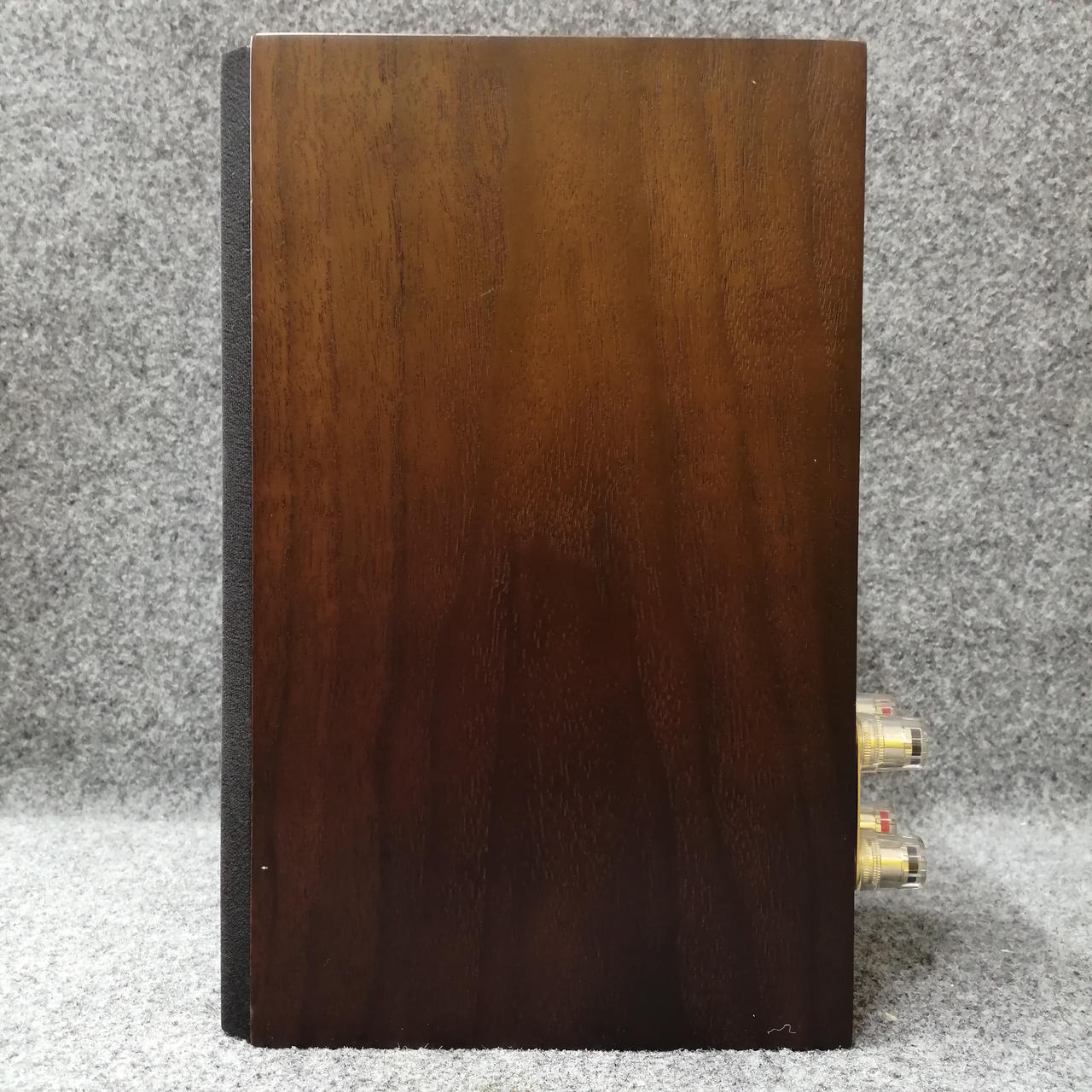 Tannyスピーカー Tanbx 2 フルレンジカースピーカー - 40W ミッドレンジ