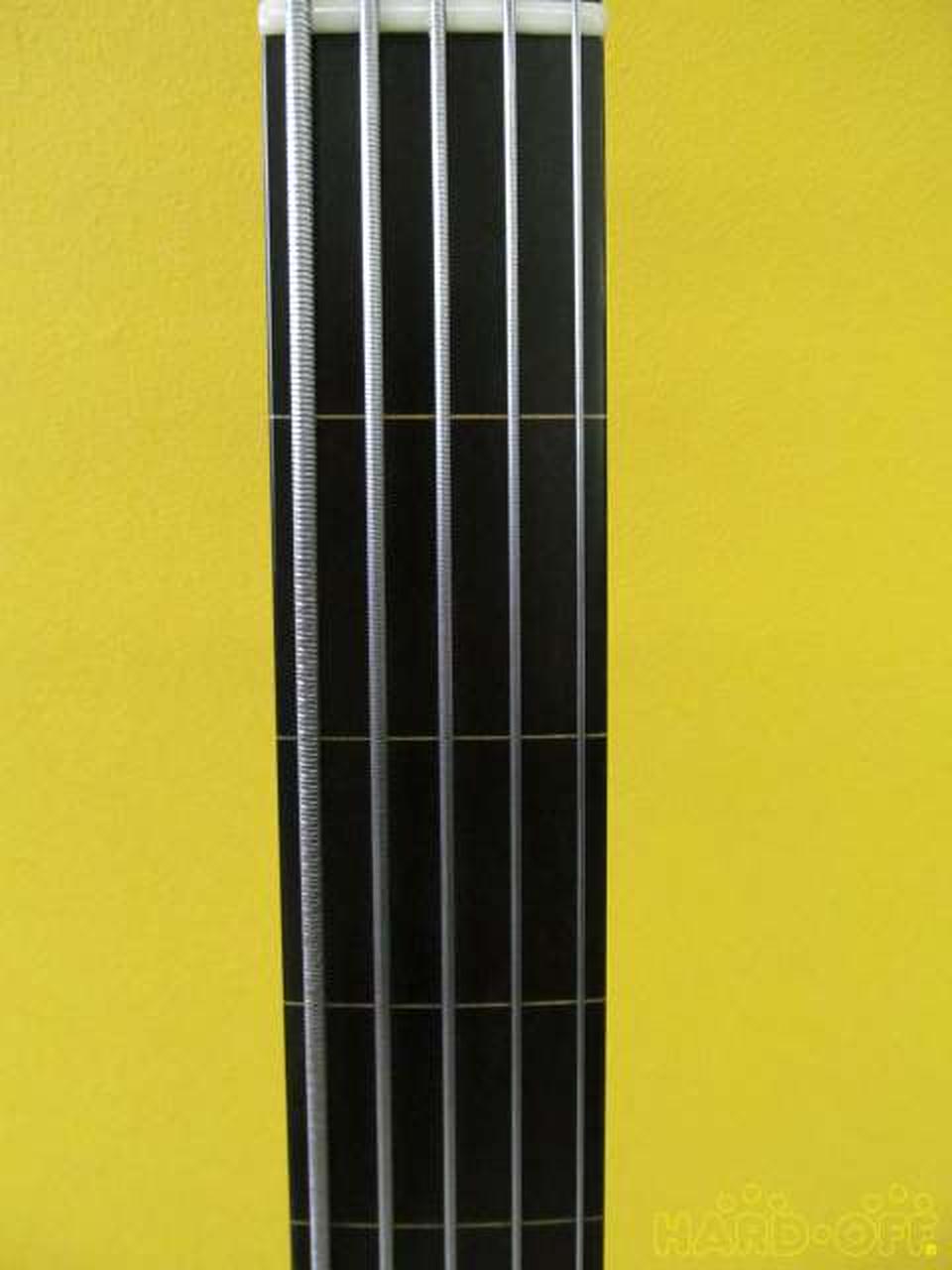 美品】Stradi SKY ストラディ フレットレスベース bass 五弦