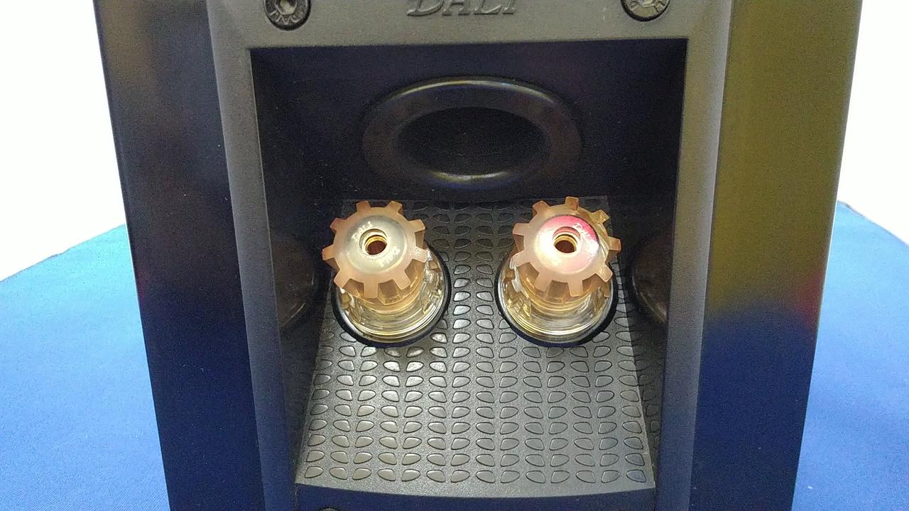 daliスピーカー　二つセット daliスピーカー 二つセット