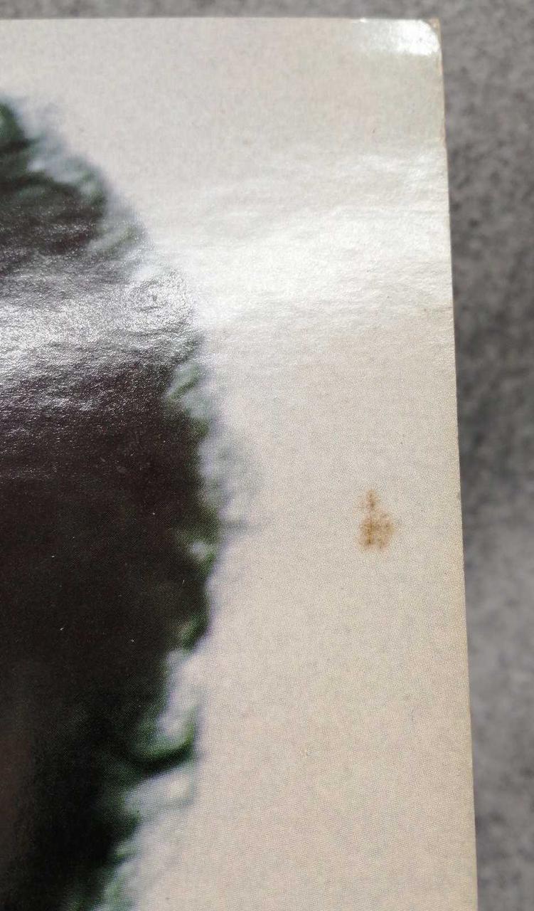 ジャケット表面にヨゴレ有ります。