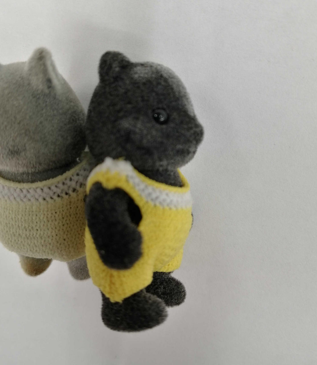 スカンク左側、白くなっています