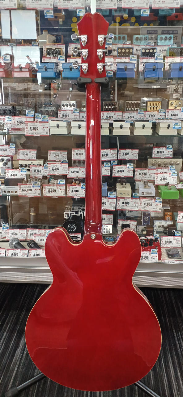 Epiphone セミアコ セミアコギター】-Epiphone-ファン必携！「Nothing's Carved In