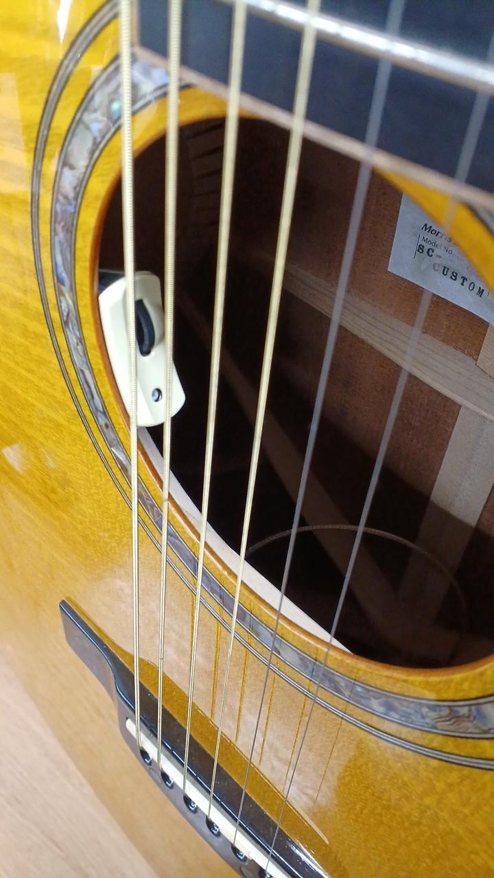 値下げ！【レア】Hurricane by morris エクスプローラータイプ MORRIS|エレアコ|HARDOFFオフモール（オフモ）|2013850000035439