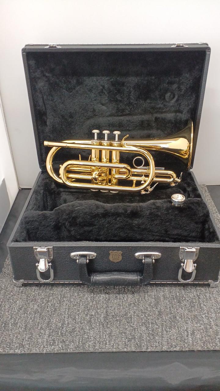 【美品】THE MARCATO コルネット CR3101 マルカート Amazon | MARCATO コルネット CR-3101 イエローブラス ラッカー