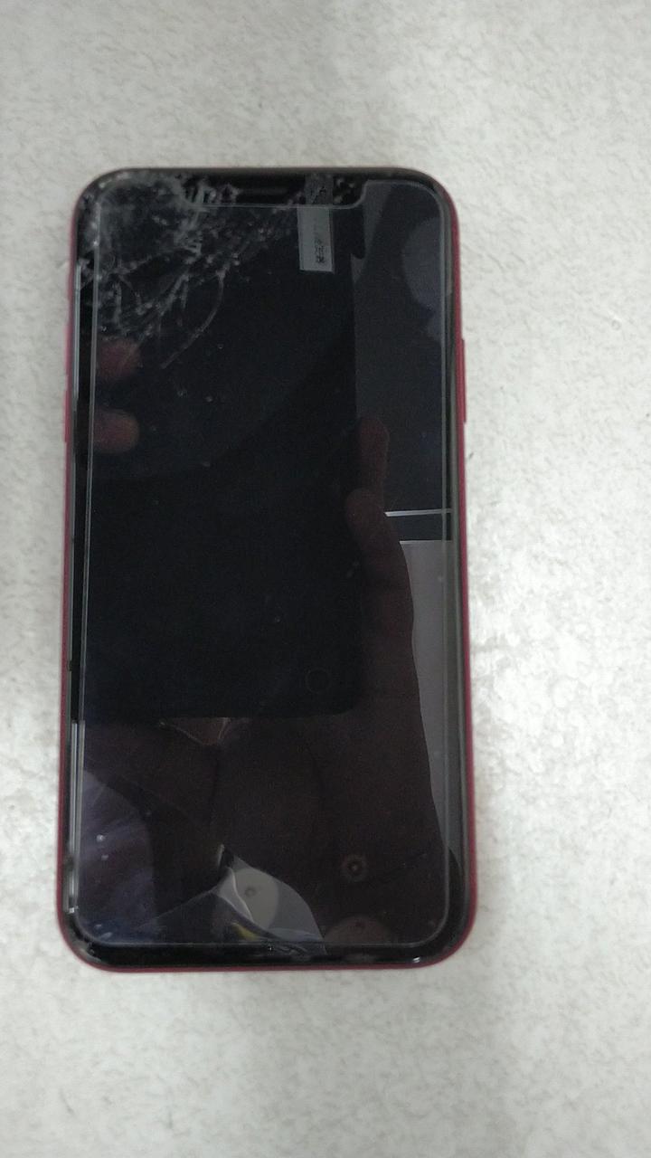 APPLE|IPHONEXR DOCOMO|HARDOFFオフモール（オフモ）|1010240000064484