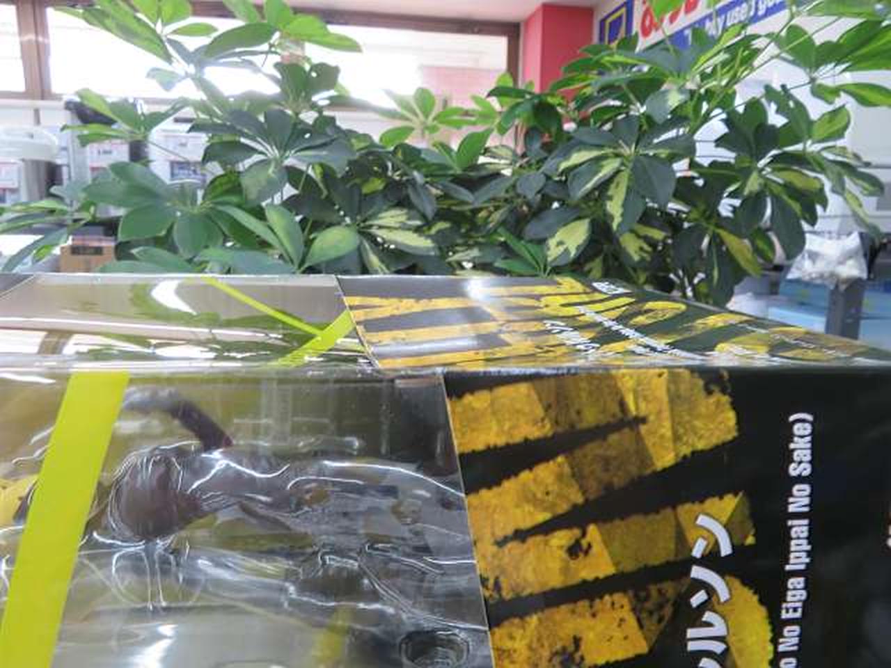 ※化粧箱に歪みあり