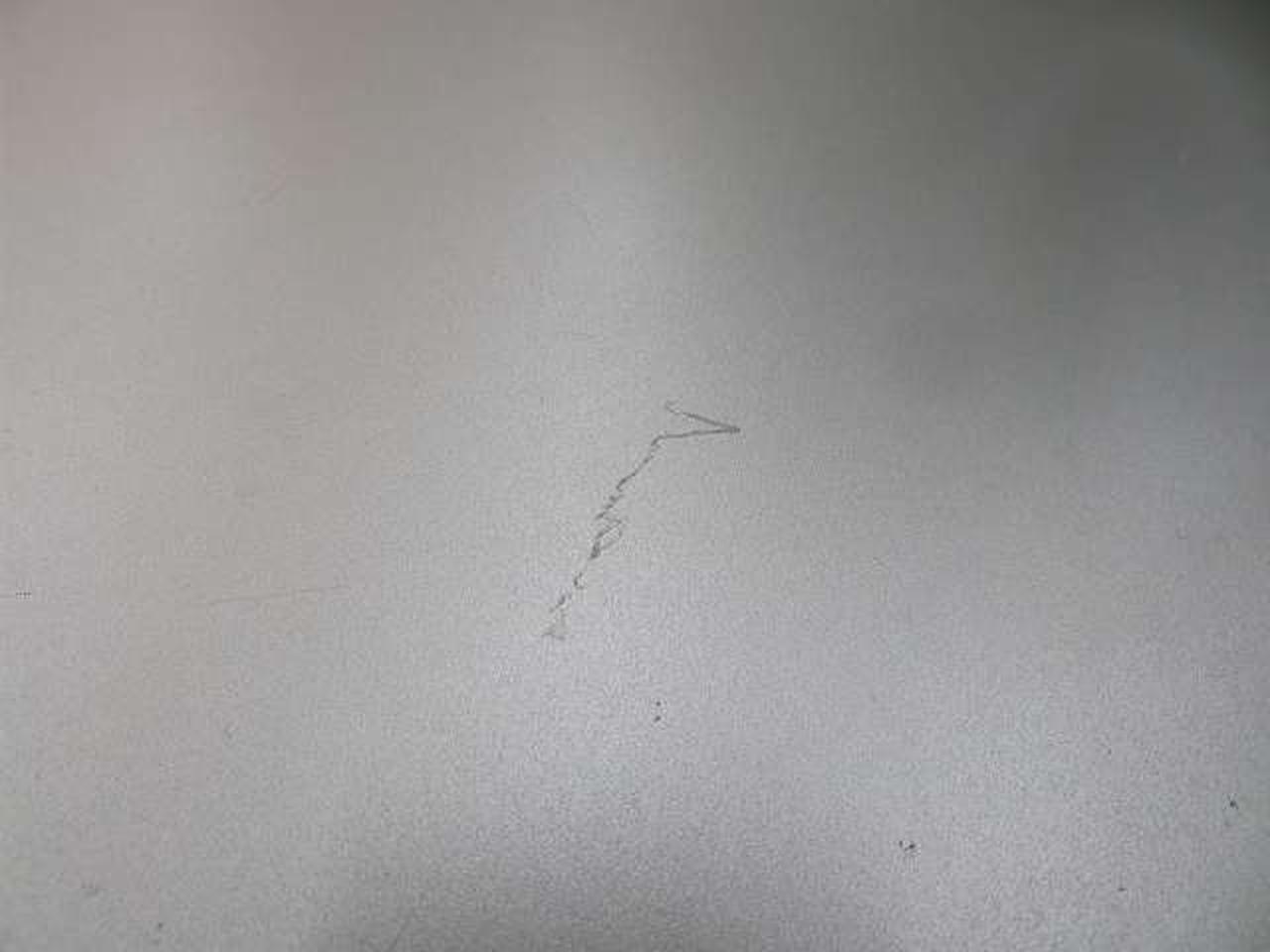 擦り傷が目立ちます