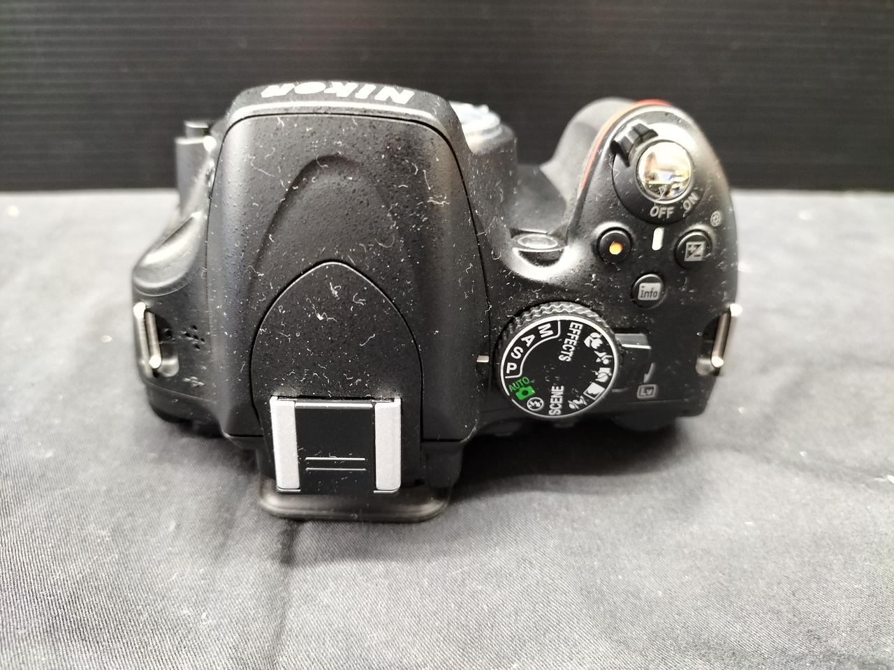 ❤即購入1000円OFF❤ ニコン Nikon D50 この一本で、春の物語を。
