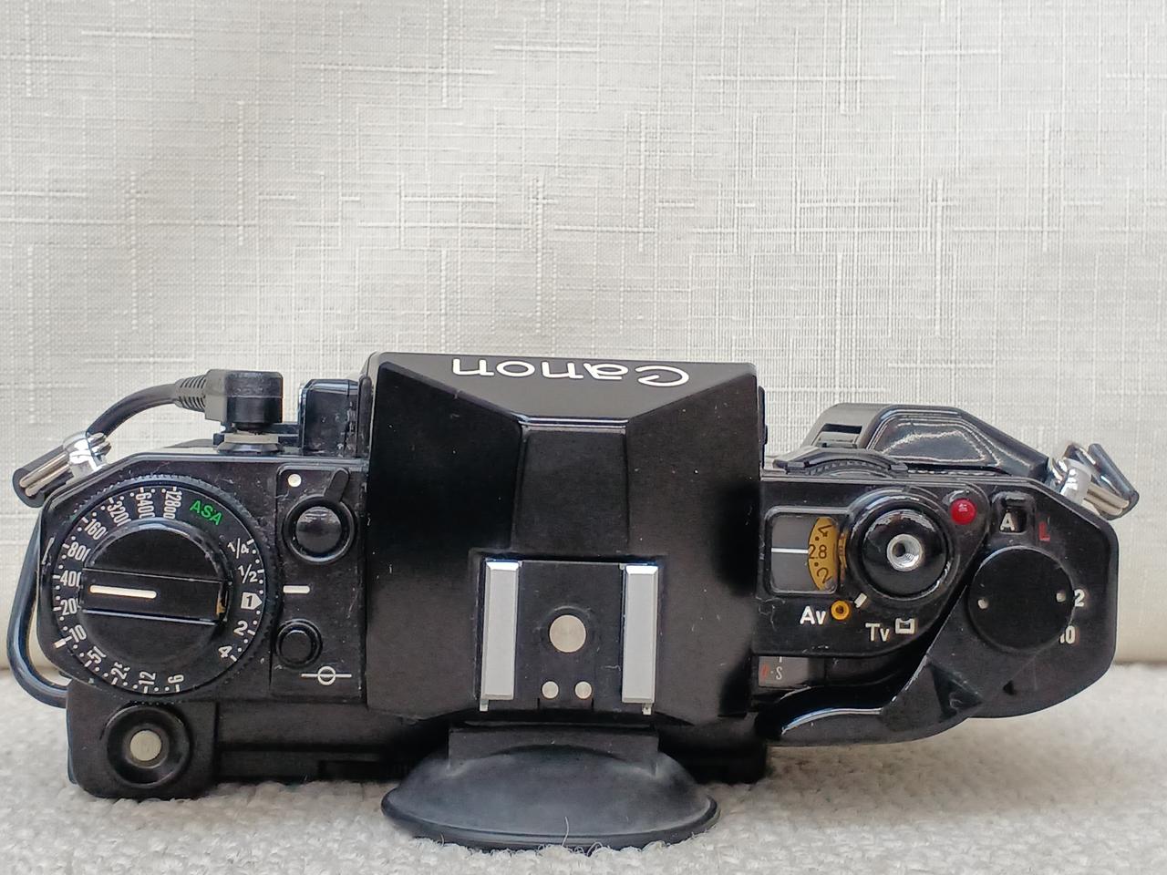 canon フィルムカメラ CANON|フィルムカメラ|【ハードオフ公式通販】オフモール|1010280000070896