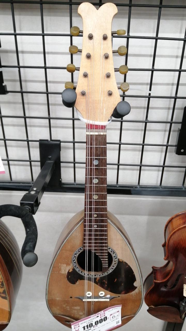 Raffaele 寺田楽器製 マンドリン RM-3 Raffaele 寺田楽器製 マンドリン