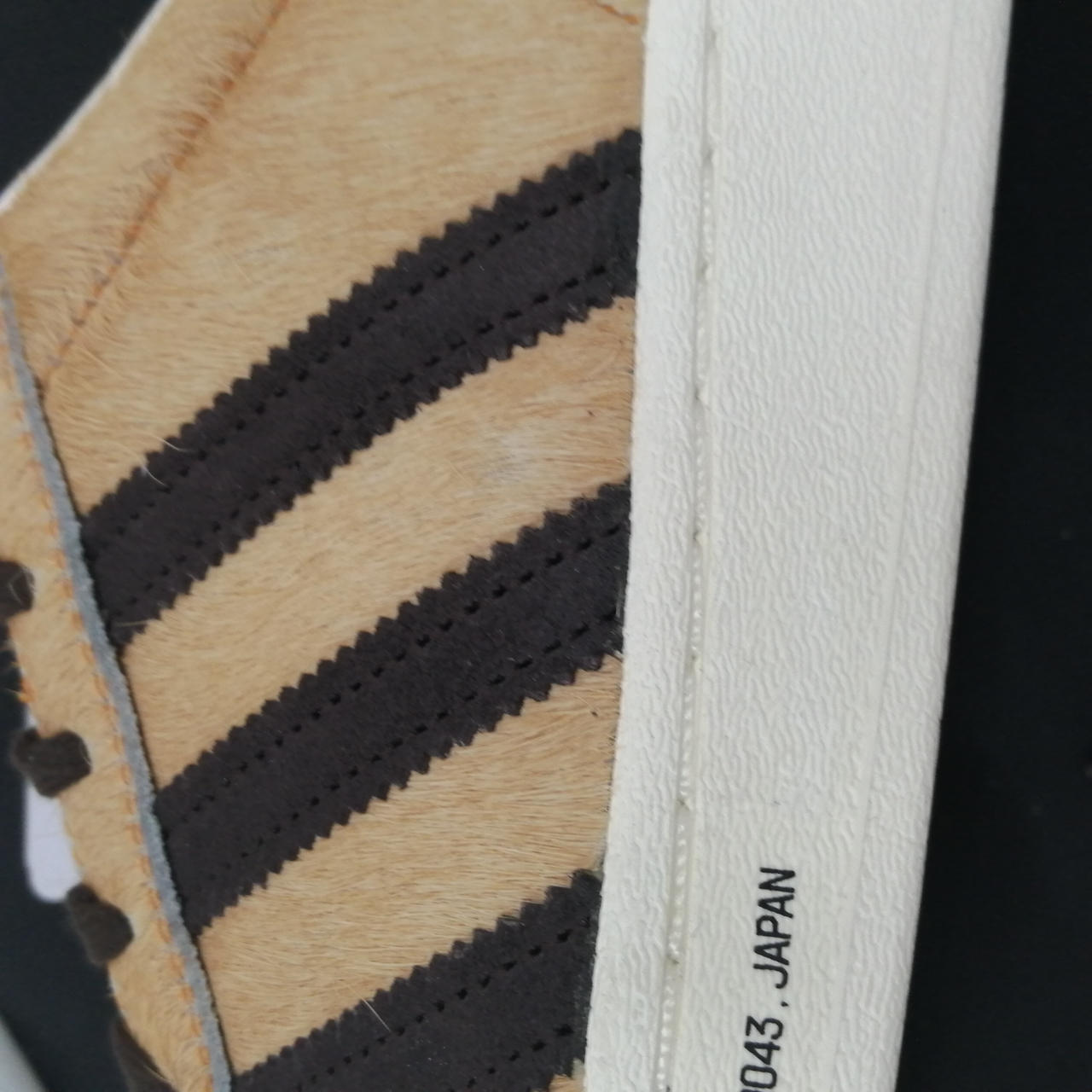 毛が薄い箇所あり