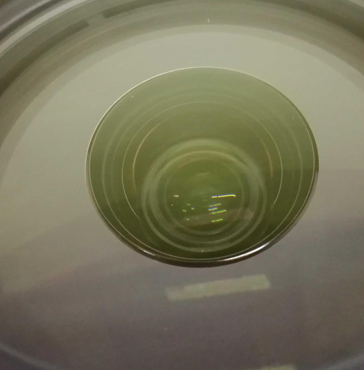 ※見え難いですが、微量のチリ有り