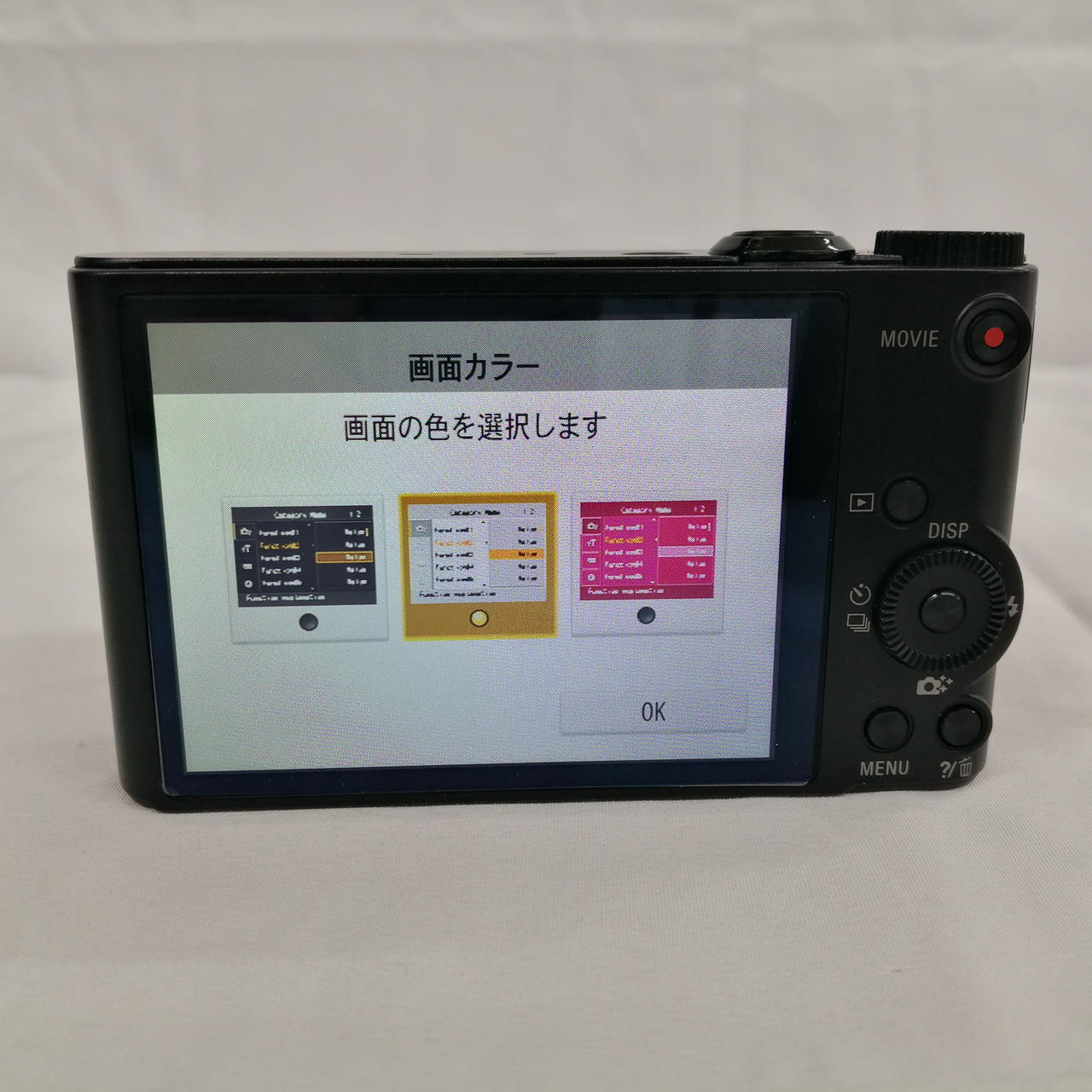 SONY デジタルカメラ 付属品あり Amazon.co.jp: Sony Cyber-Shot Digital Camera W170 (10.1