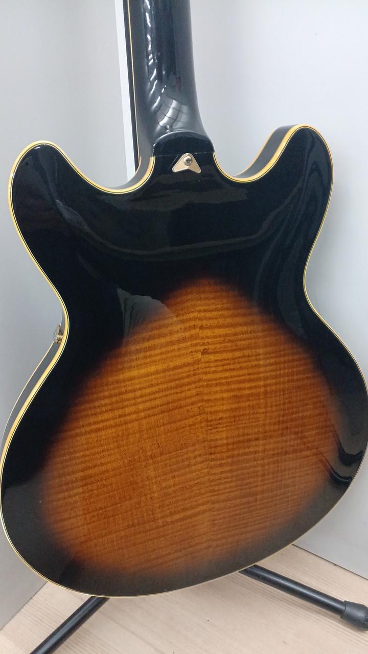 ［美品］アイバニーズ製セミアコ Ibanez アイバニーズ セミアコ ゼブラウッド 美品 ケース付