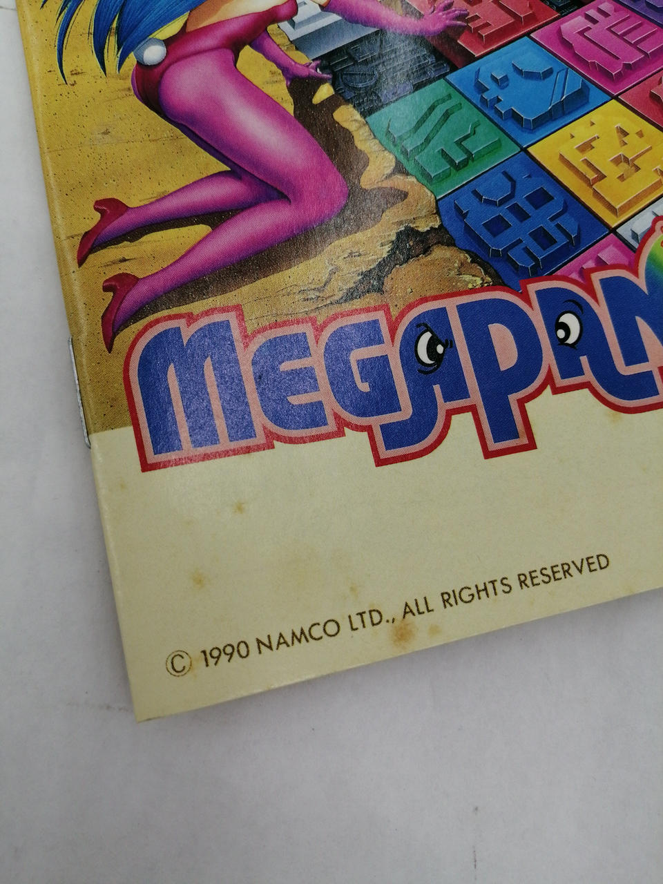 説明書にこの様なシミが何箇所もあります