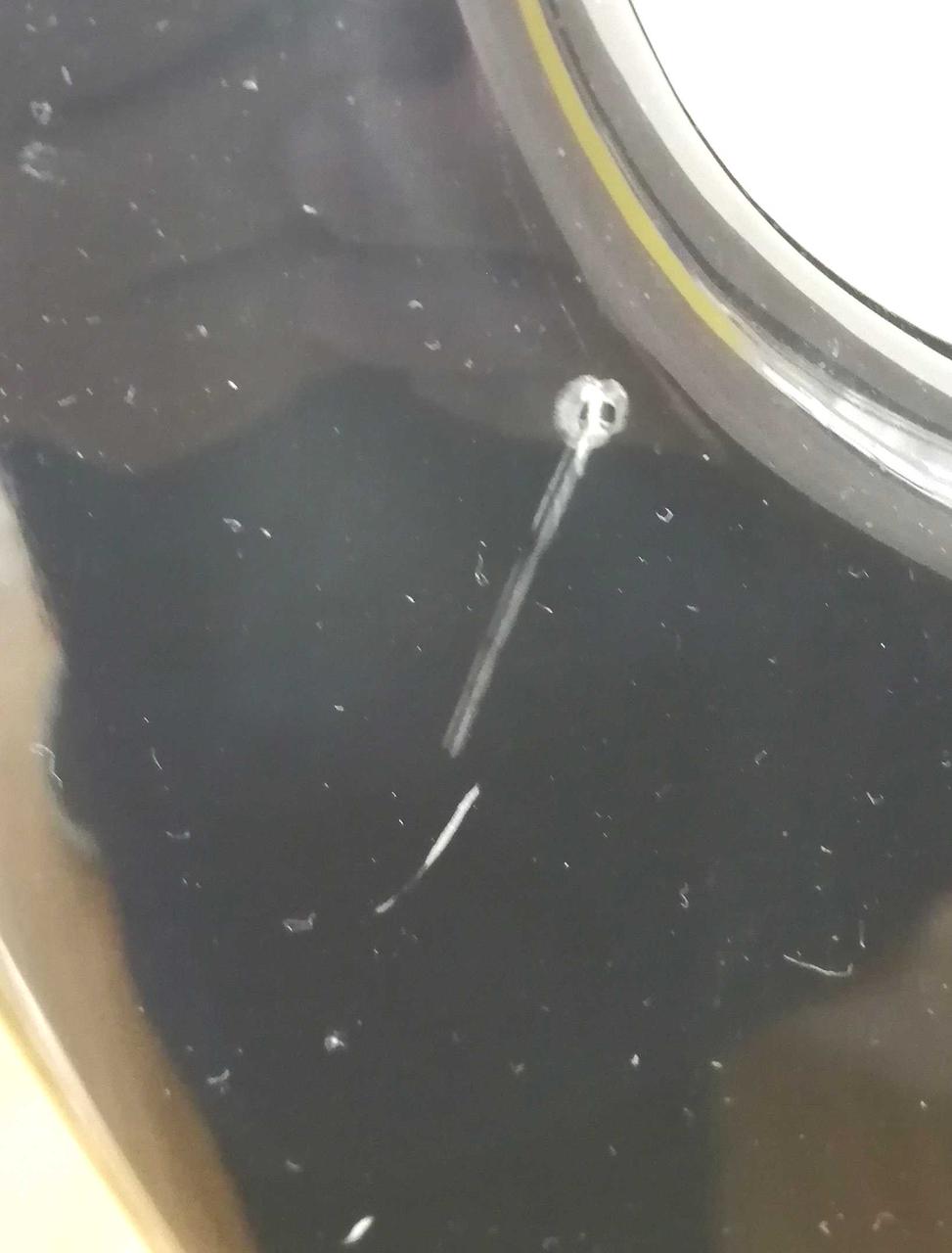 ボディキズあります