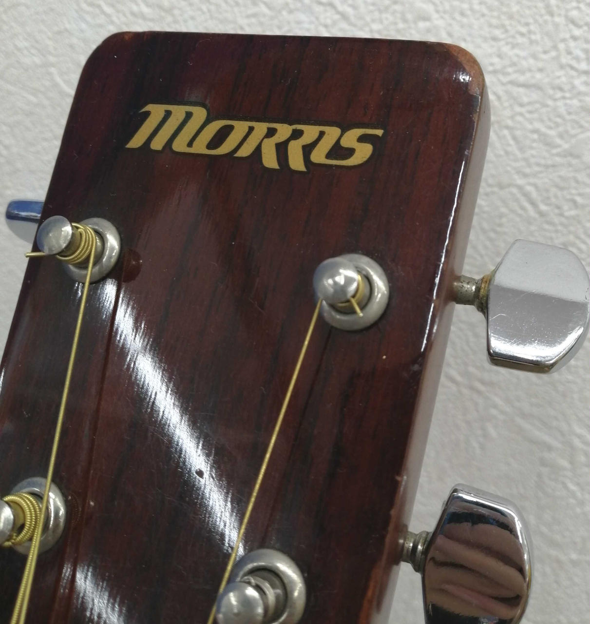 モーリス(MORRIS)|アコースティックギター|HARDOFFオフモール