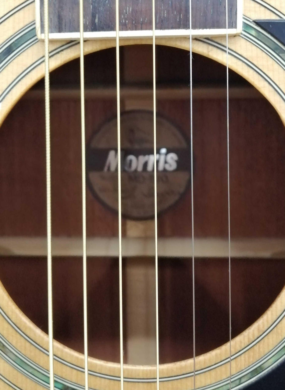 Morris アコースティックギター ブラウン Amazon.co.jp: Morris モーリス Perfomers Edition F-021 RBS
