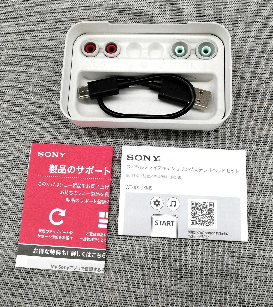 イヤーピース欠品あり