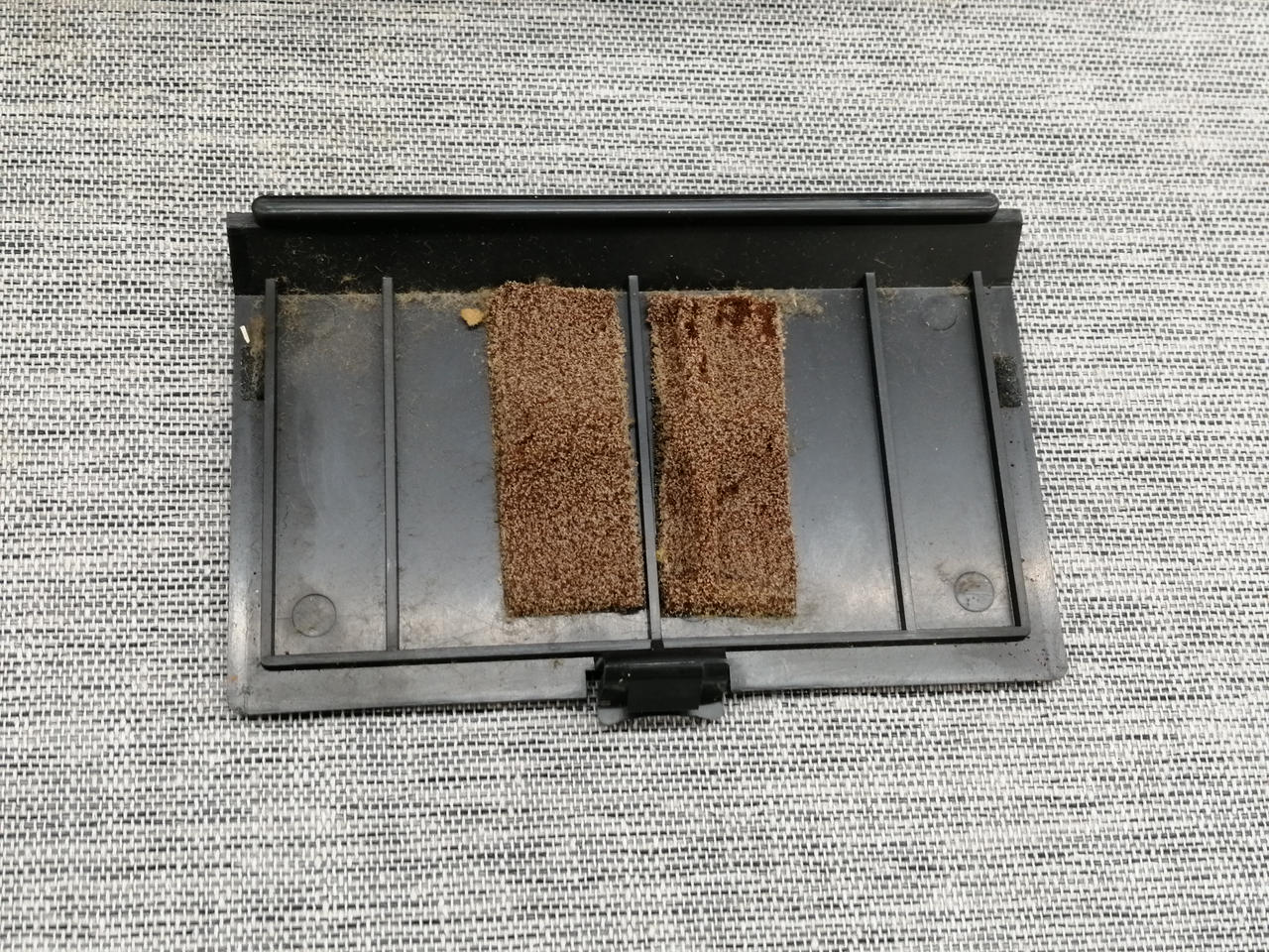 スポンジ劣化あります