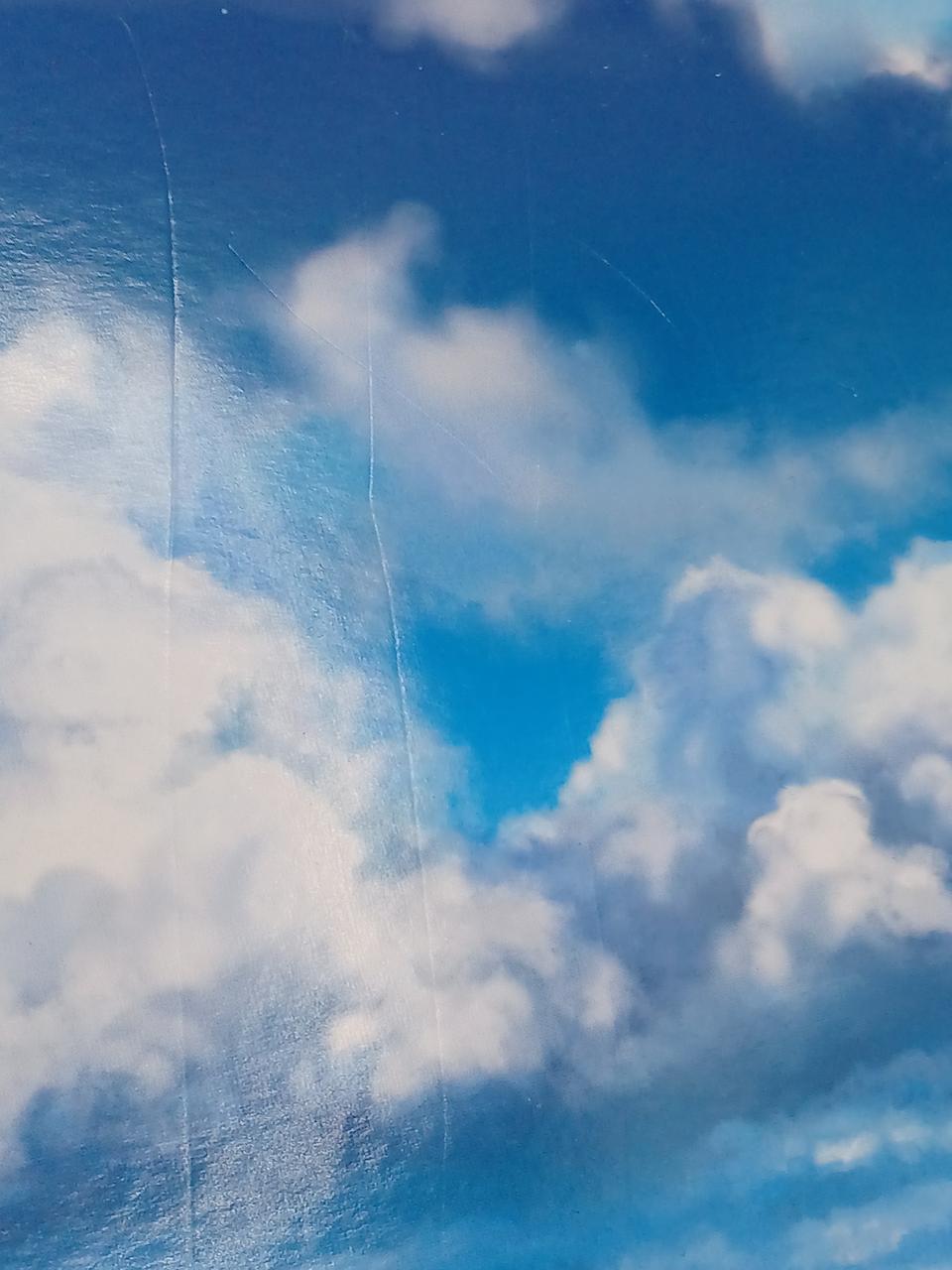 背景紙キズあり