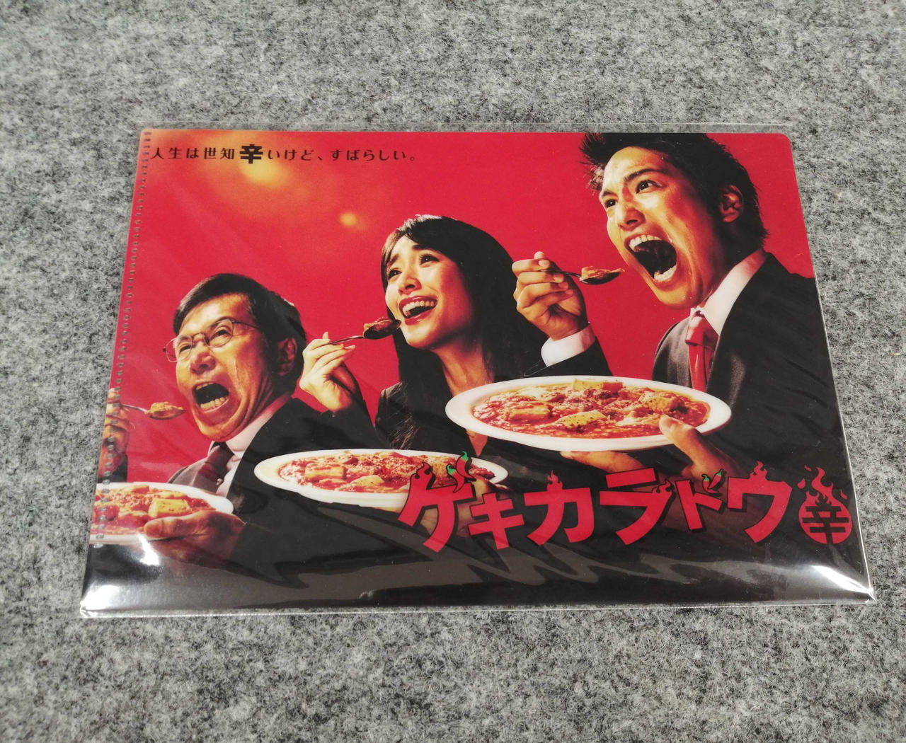 付属のクリアファイルです。