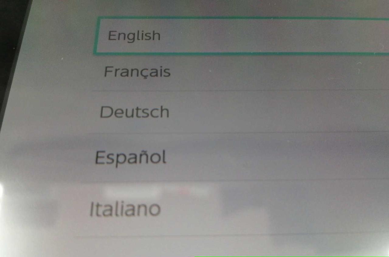 写真に写っていませんが若干カゲが有ります