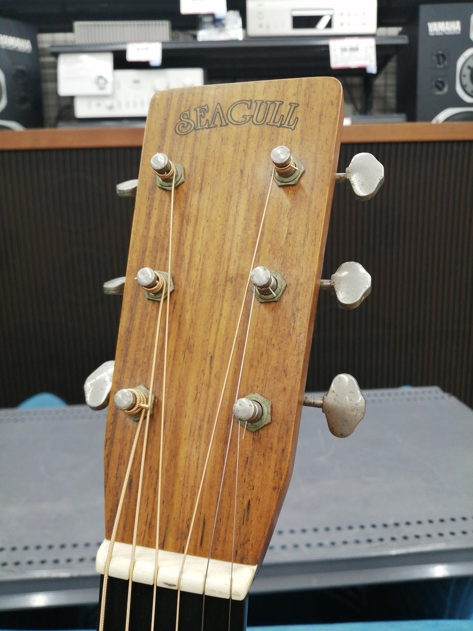 ギター seagull Amazon.com: Seagull Performer CW Flame Maple HG QI Guitar