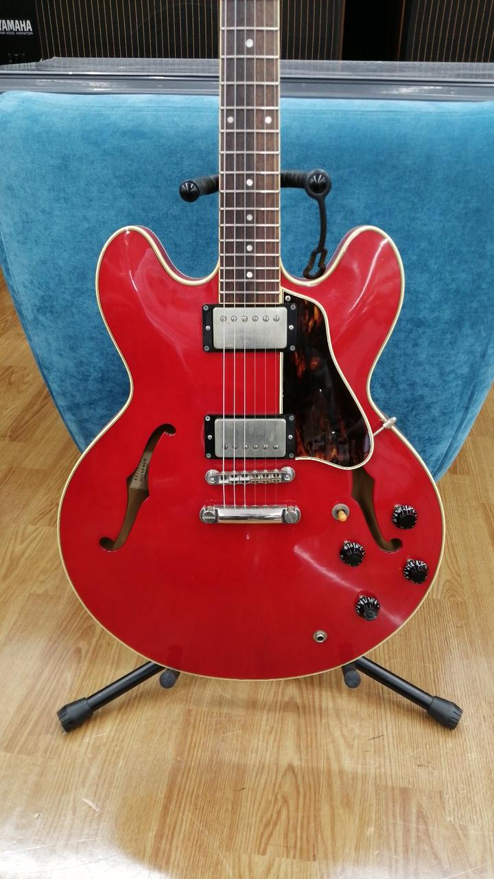 ブイジー(VG)|セミアコ|HARDOFFオフモール（オフモ）|1010540000055442