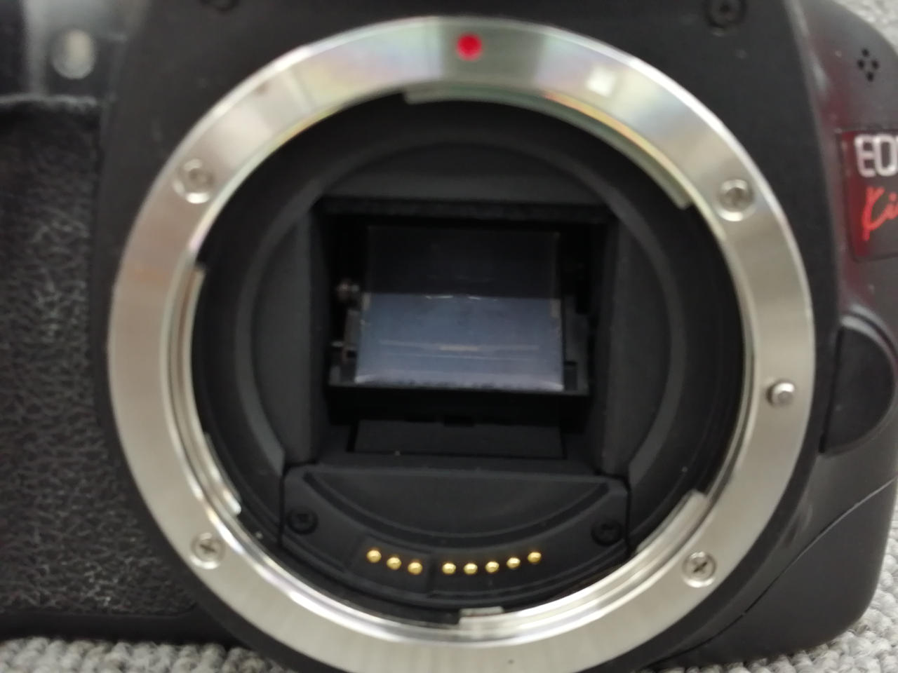 値下げ❗Canon一眼レフセット+純正ケース[ジャンク品] 値下げ❗Canon