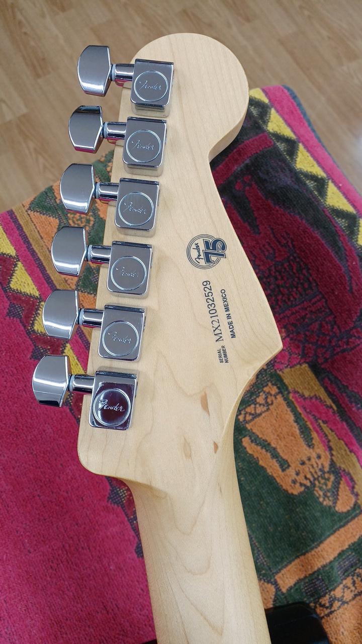 フェンダーメキシコ(FENDER MEXICO)|エレキギター(レフティー