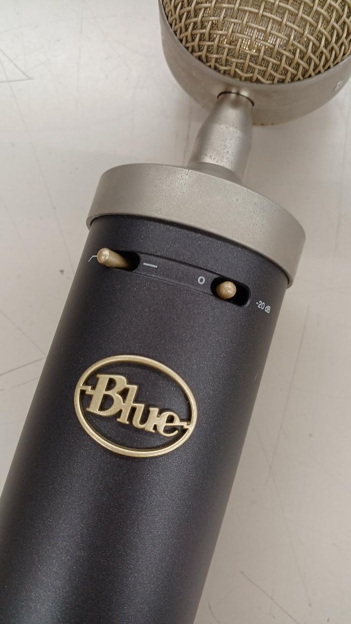 【美品】Blueコンデンサーマイク enCORE300。ほぼ未使用。 BLUE ( ブルー ) enCORE 300 送料無料 | サウンドハウス