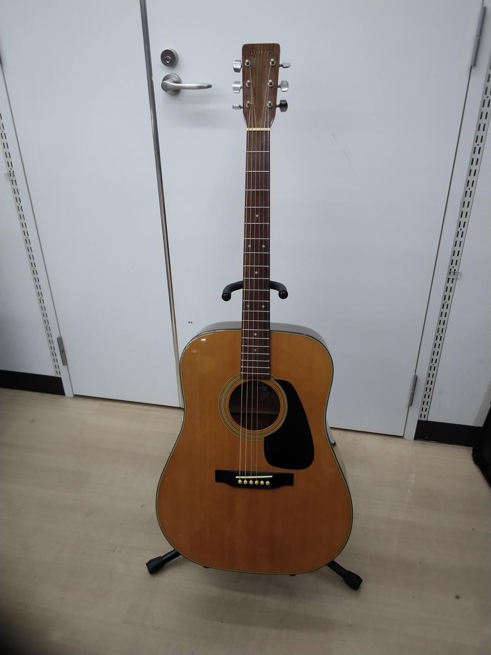 Morris MD-502 アコースティックギター Morris MD-502 Acoustic Guitar アコースティックギター