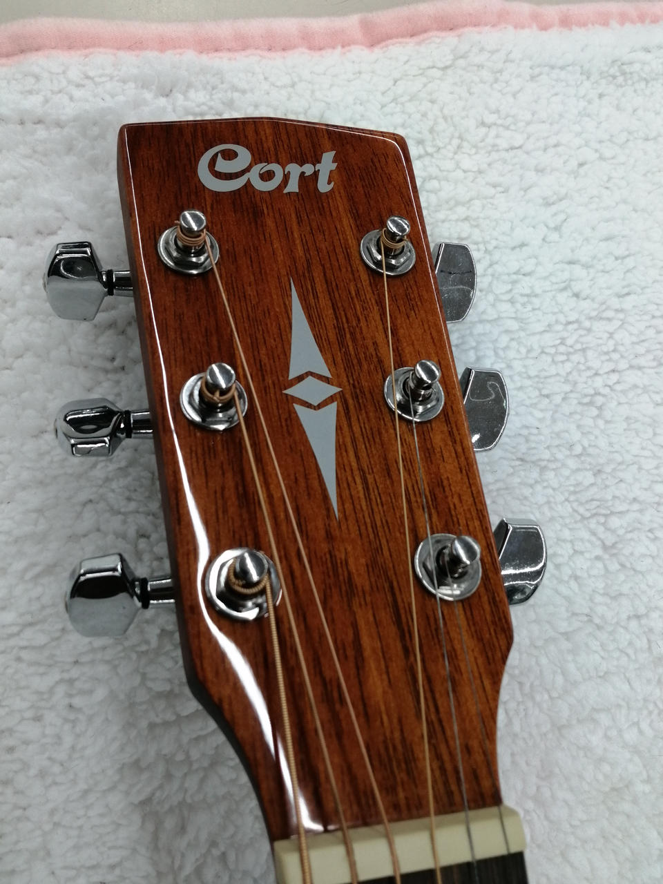 【ギターセット】Cort CAG-1F CAO アコースティックギター Amazon | Cort CAG-1F CAO アコースティックギター初心者12点