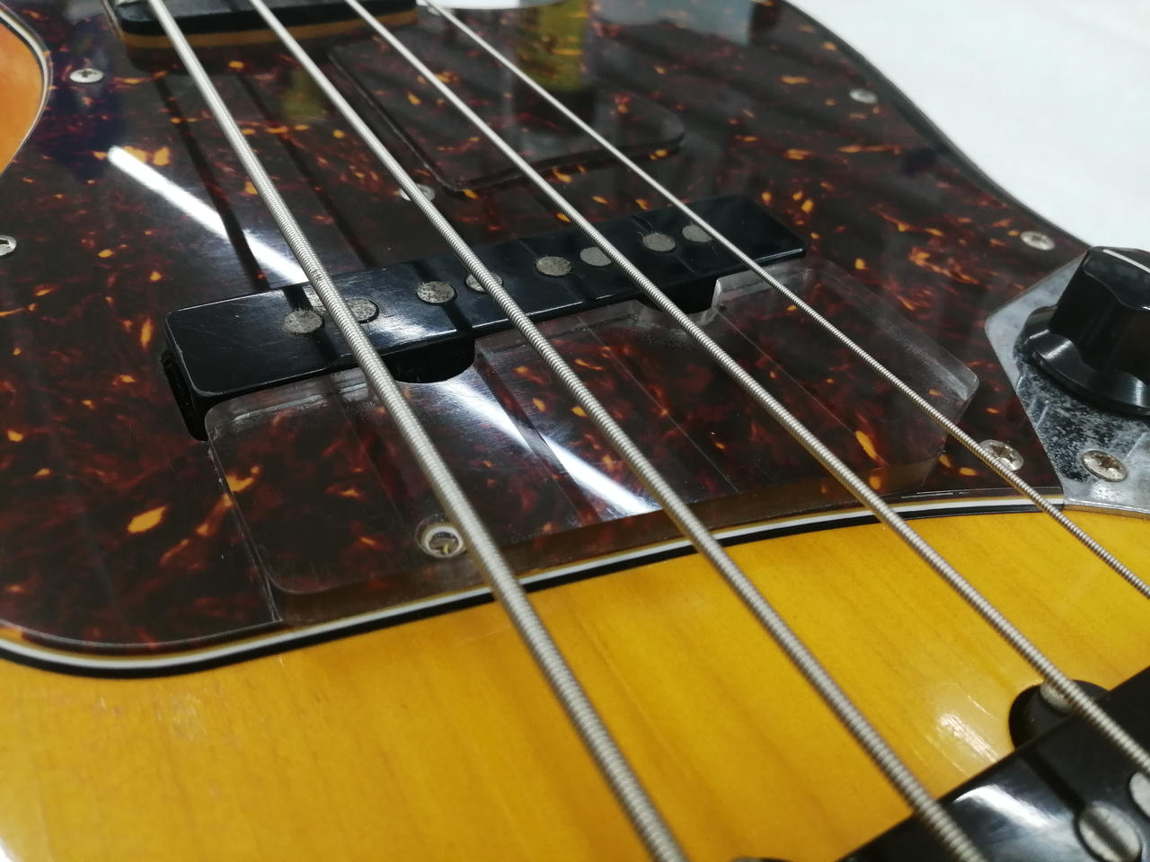 フィンガーランプ増設