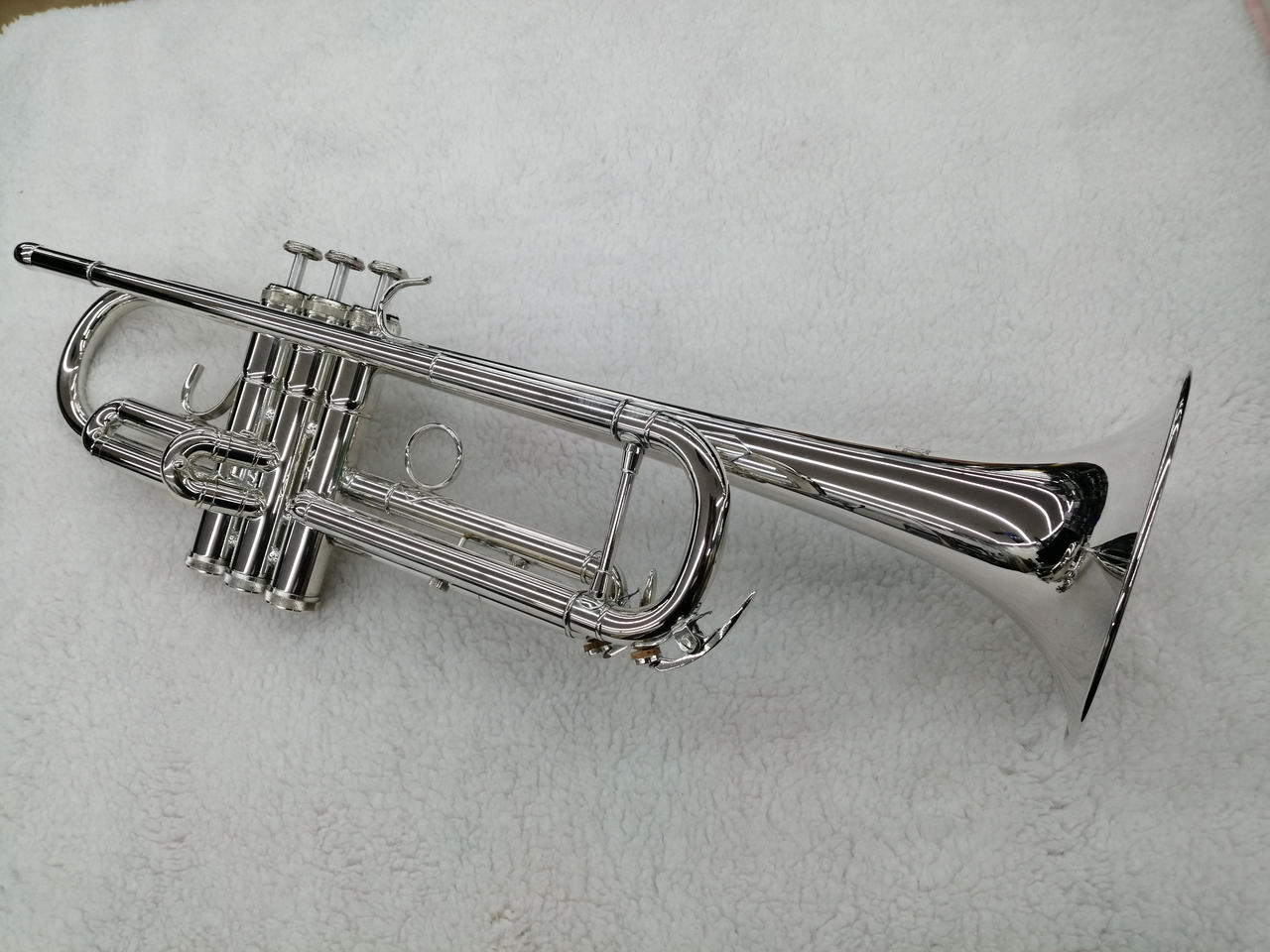 ✨美品✨J.Michael TR-300 トランペット未チェックの為格安ジャンク ✨美品✨J.Michael TR-300 トランペット未チェックの為格安