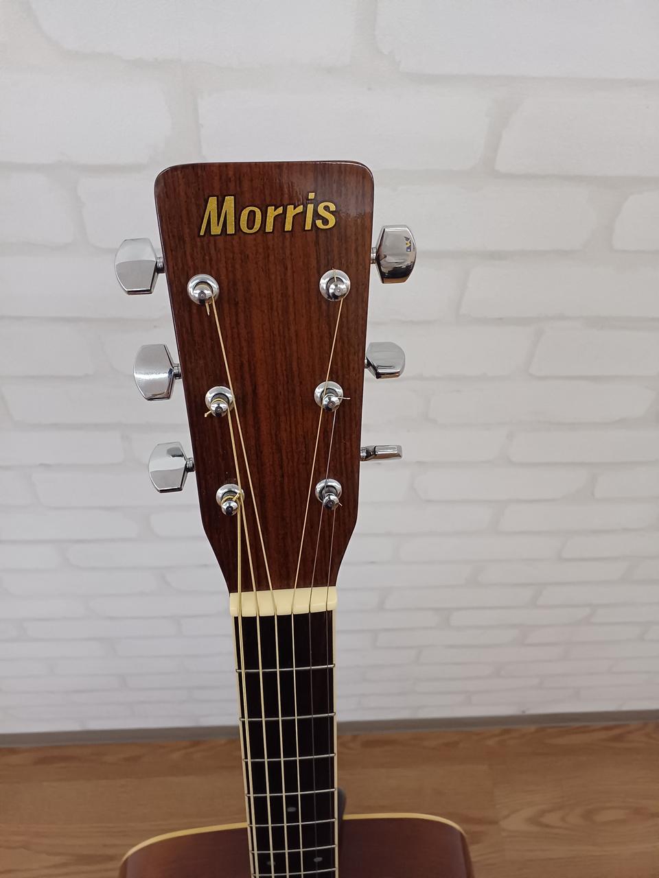モーリス アコースティックギター MD-506 モーリス Morris MD-506 アコースティックギター