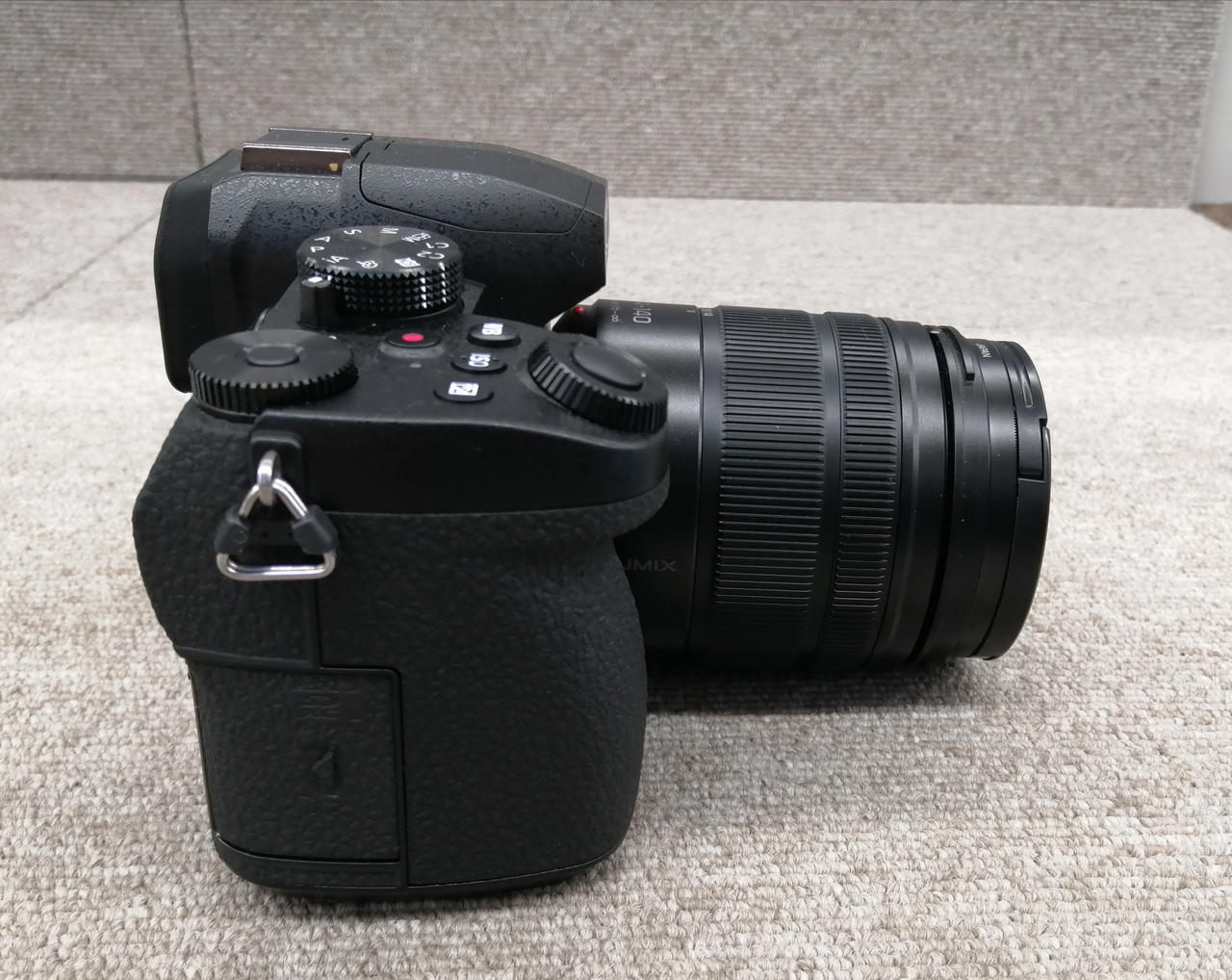 極美品　約1,900ショット LUMIX DC-G99D おまけ付き 極美品 約1,900ショット LUMIX DC-G99D おまけ付き