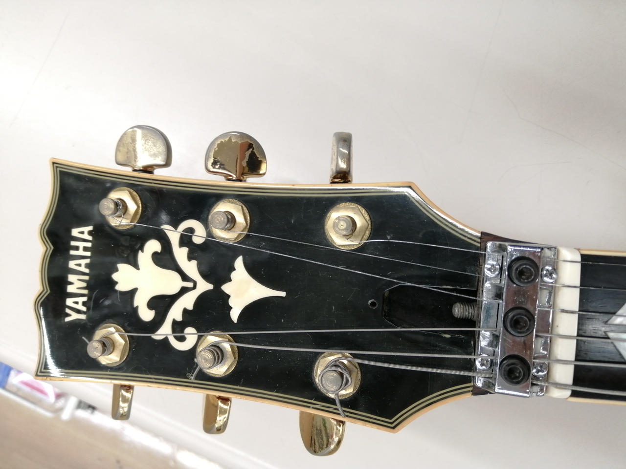 SGタイプ　エレキギター エレキギター SGタイプ ESP SIGNATURE SERIES (国内) 商品一覧｜イケベ