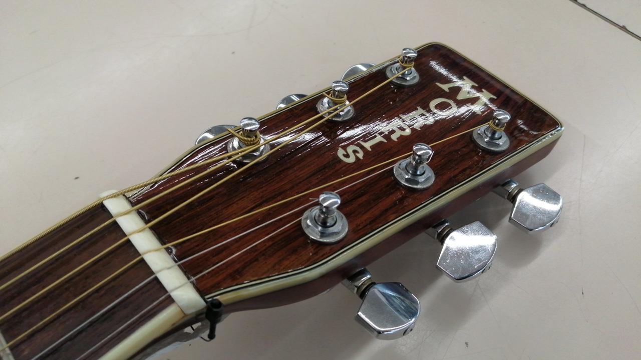 MORRIS|アコースティックギター|HARDOFFオフモール（オフモ