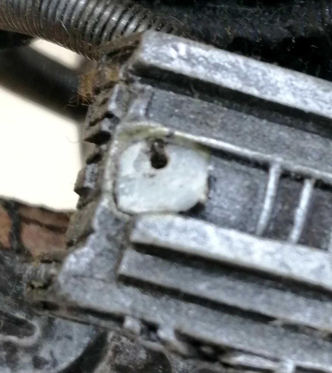 肩のこの部分です