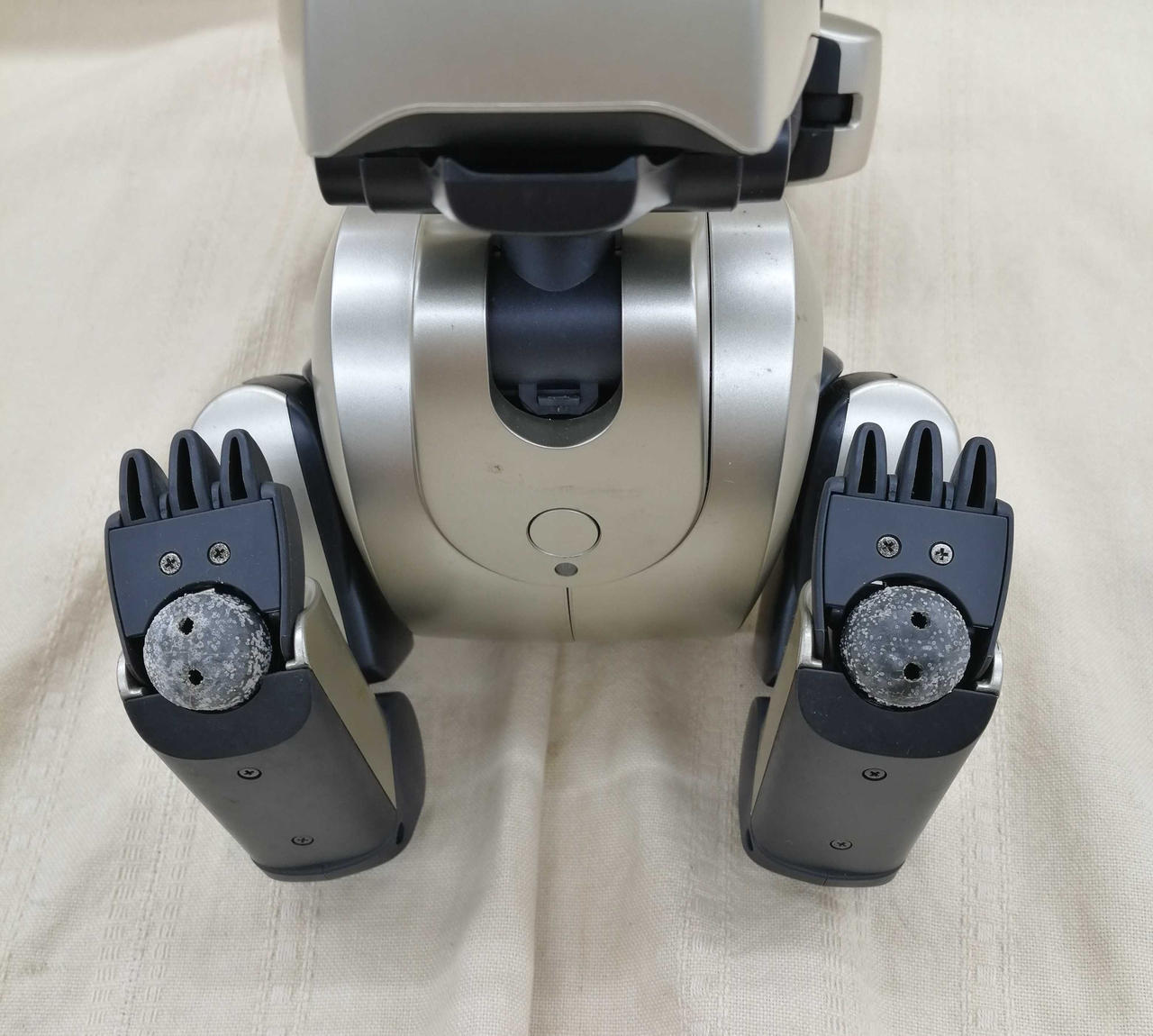 肉球部分劣化あり