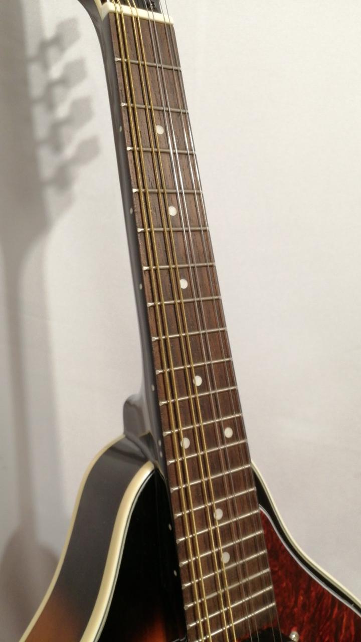 マンドリン！アリア… Amazon | ARIA アリア 電子マンドリン AM-20E ハードケース付き