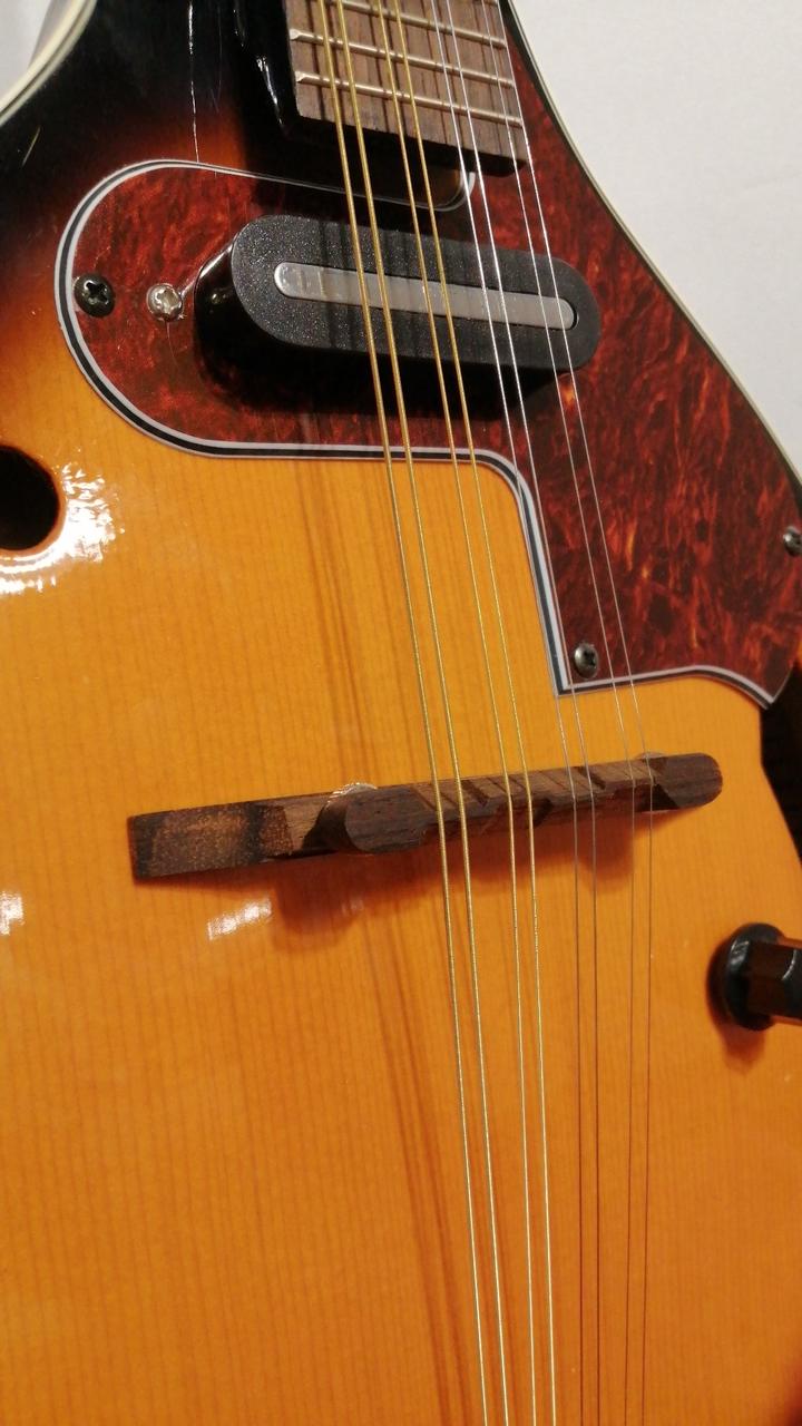 アリア(ARIA)|マンドリン|HARDOFFオフモール（オフモ