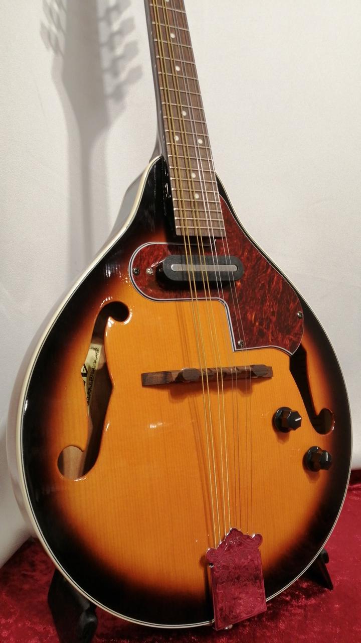 ARIA AM-20E フラットマンドリン ジャンク 619ei216NiL.jpg_BO30,255,255,