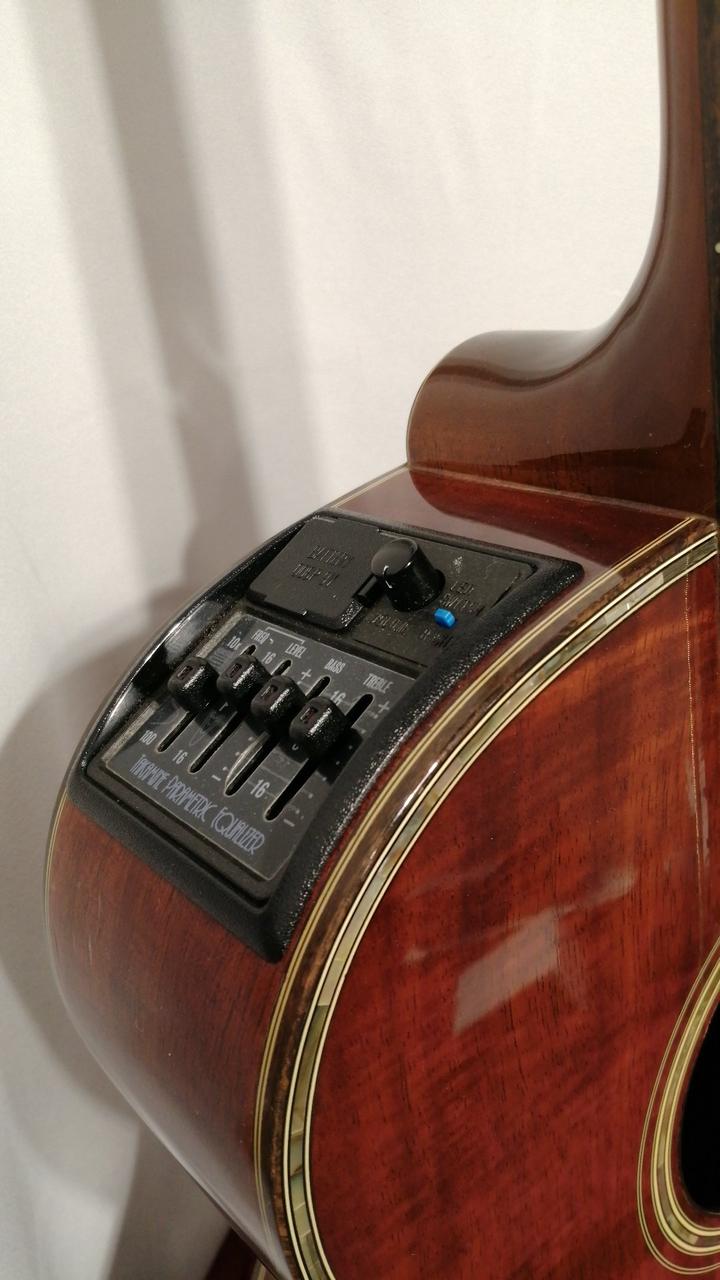 雛祭り割引　Takamine タカミネ　エレアコ　DSP110 ケースと弦おまけ 雛祭り割引 Takamine タカミネ エレアコ DSP110 ケースと弦