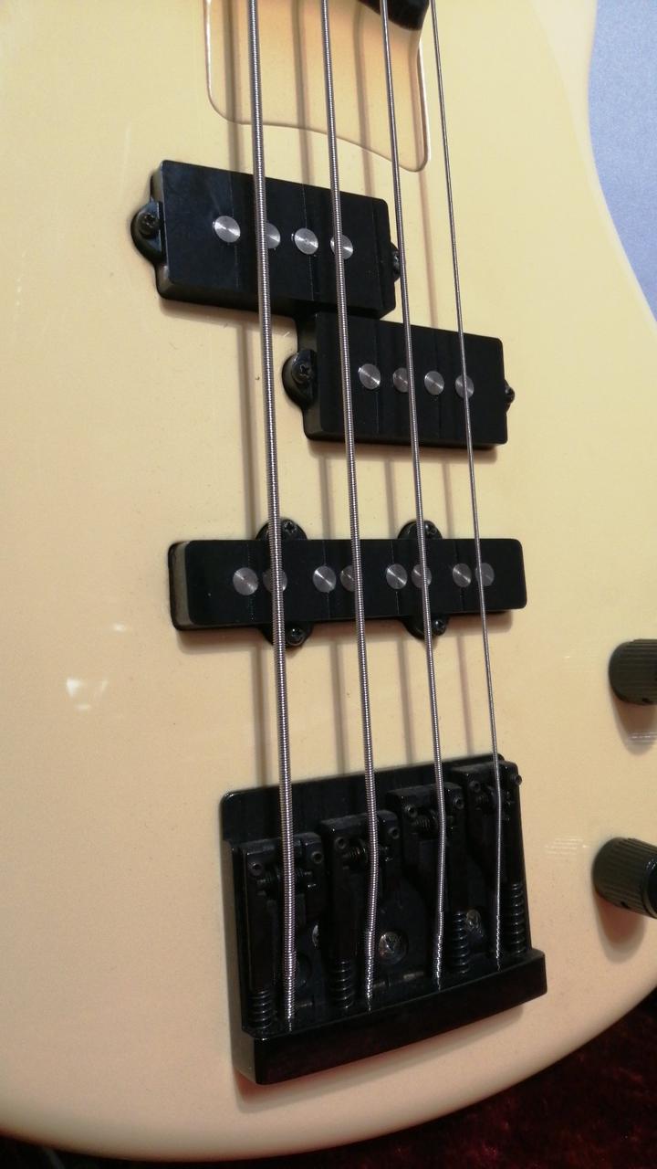 エレキベース ESP 楽天市場】【ESP】イーエスピー『5弦エレキベース』Order Model