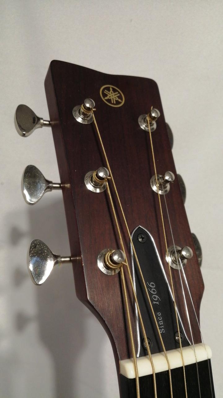 YAMAHA FGX5 エレアコ YAMAHA FGX5 GLOSS Red Label エレアコ 【国産】ドレッドノート